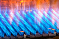 Hoscar gas fired boilers